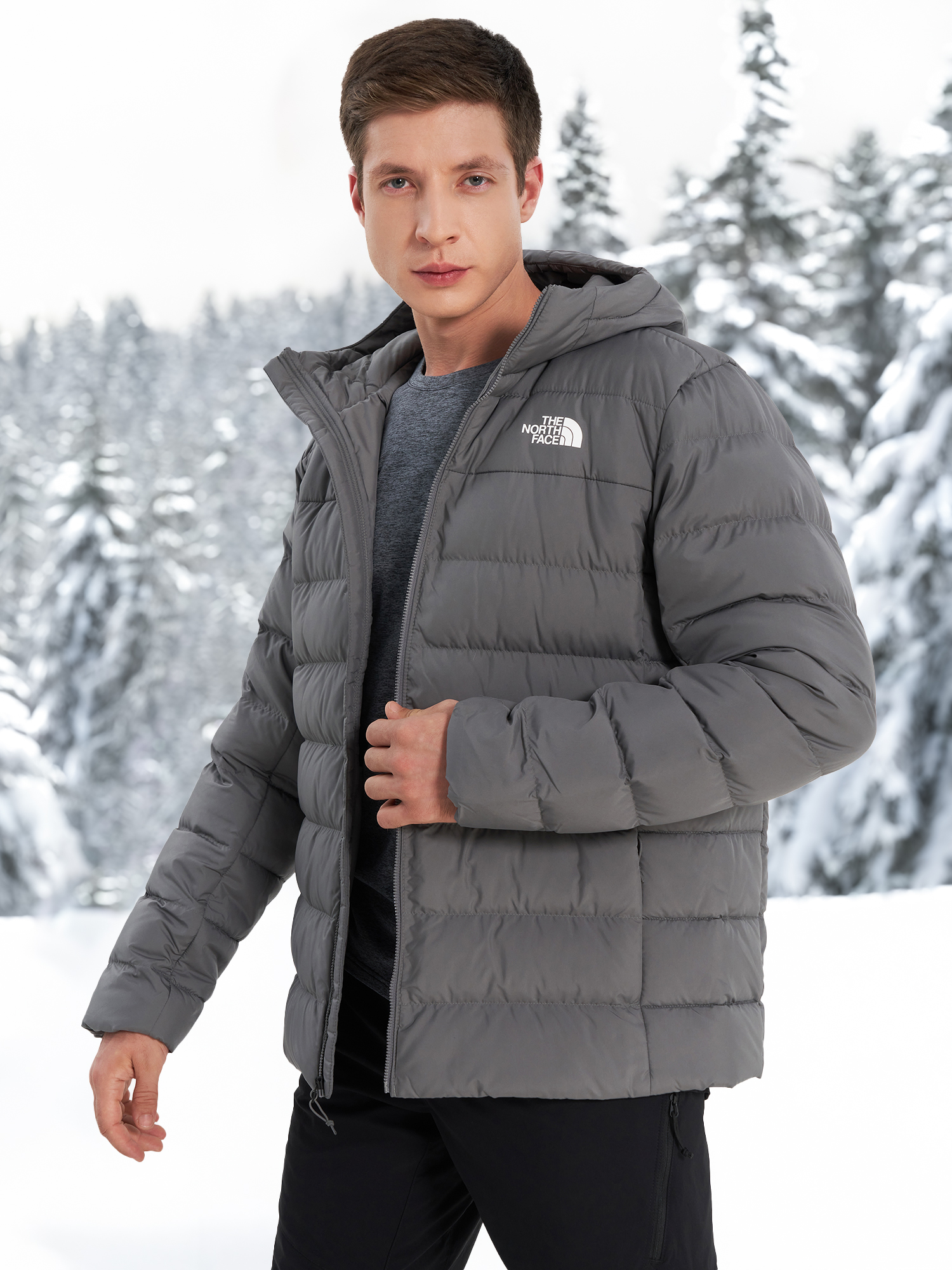 Пуховик мужской The North Face Aconcagua 3, Серый