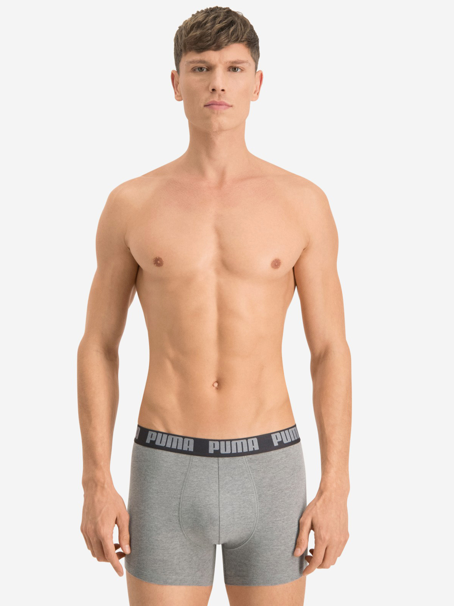 Трусы мужские PUMA Basic, 2 штуки, Серый