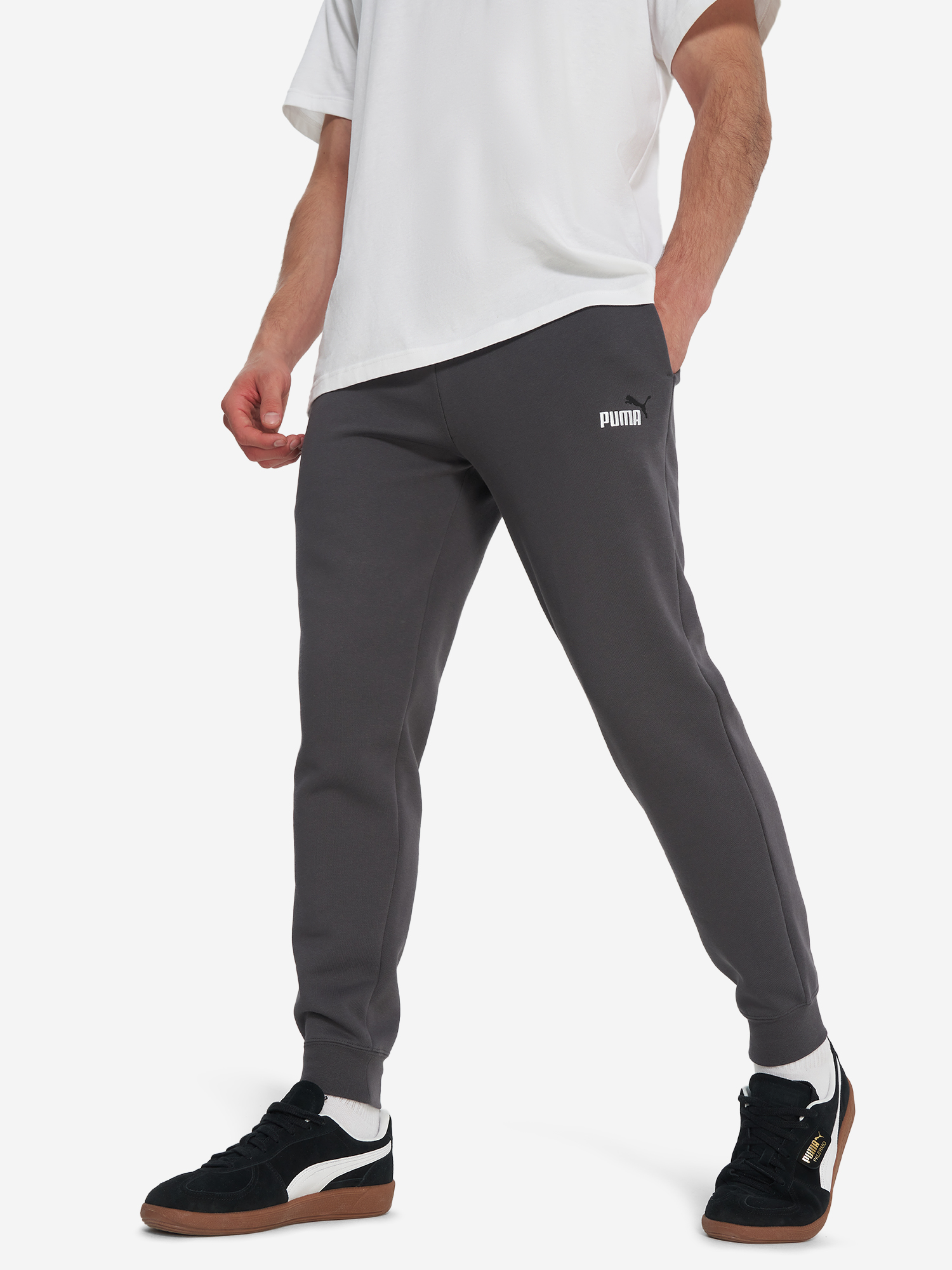 Брюки мужские PUMA Ess 2 Color No. 1 Logo, Серый