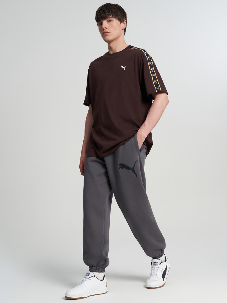 Брюки мужские PUMA Sport Street