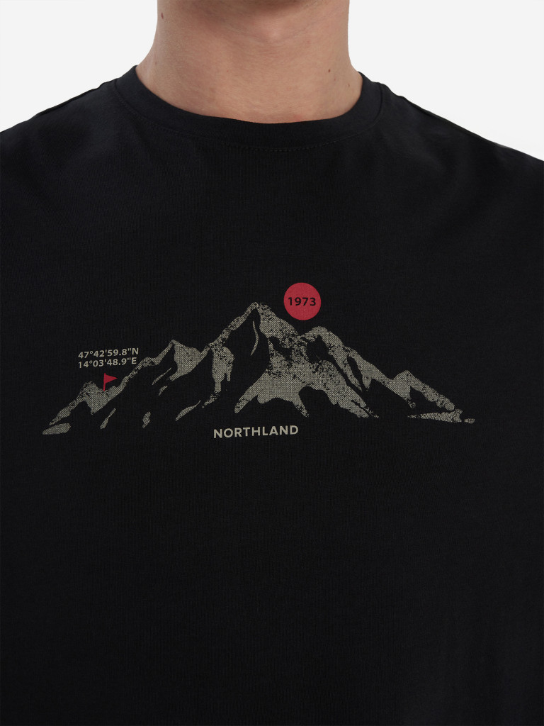 Футболка мужская Northland