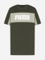 оливковый