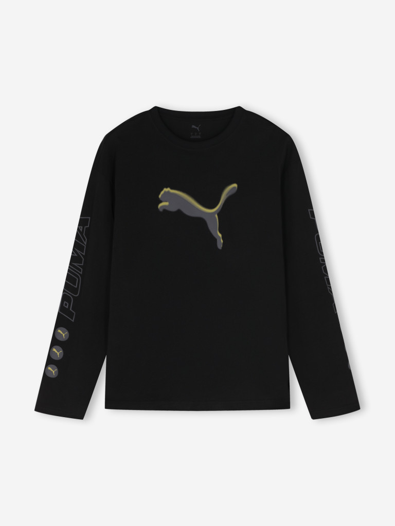 Лонгслив мужской PUMA Graphic