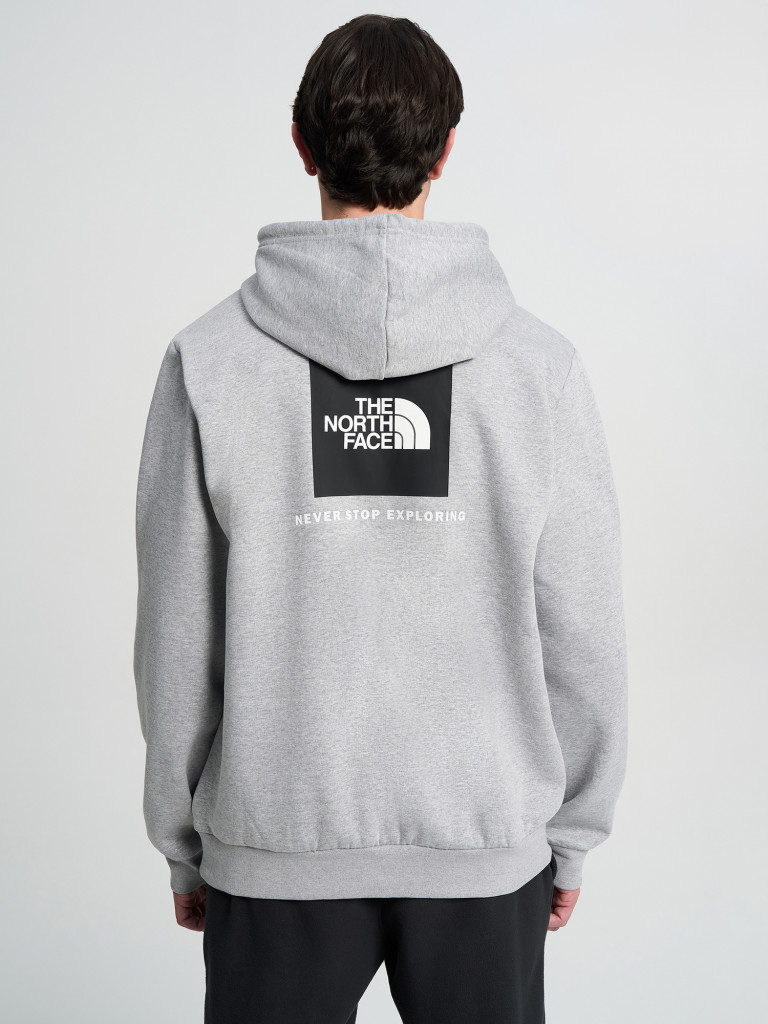 Худи мужское The North Face Evolution Box