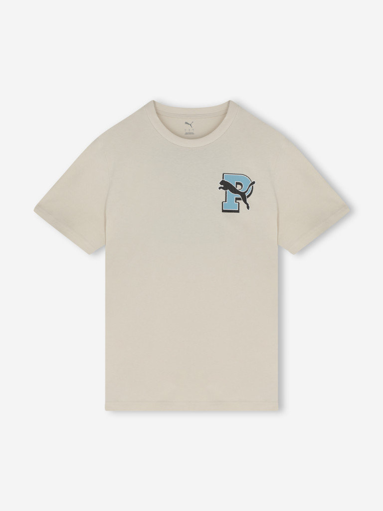 Футболка мужская PUMA