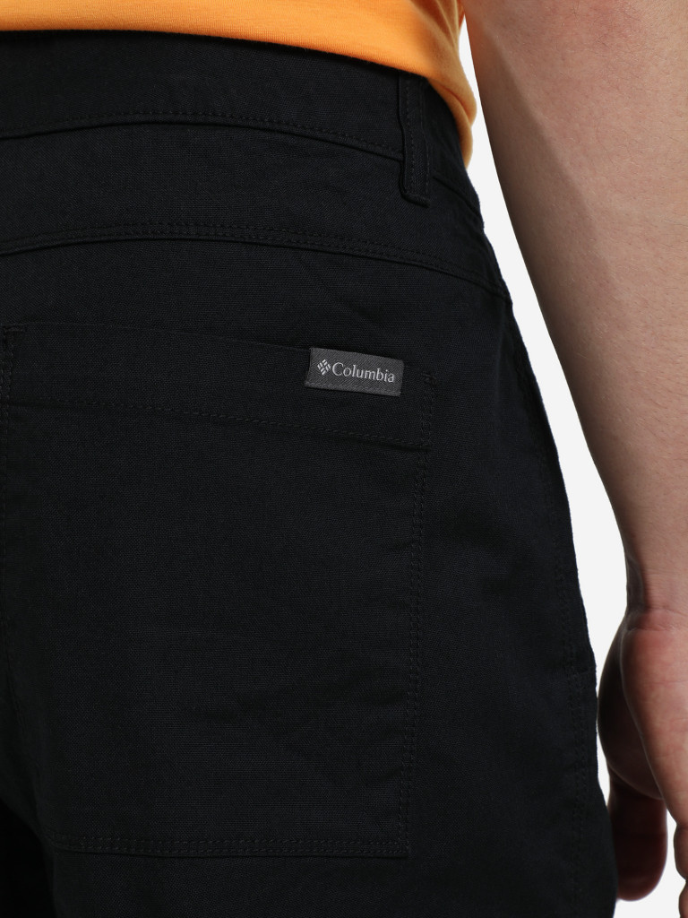 Брюки мужские Columbia Flex Roc II Lined Pant