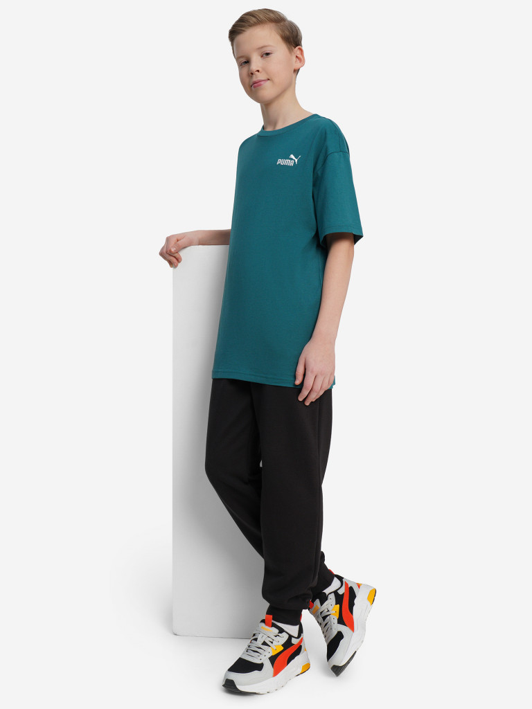 Брюки для мальчиков PUMA Ess Logo Lab Story 2
