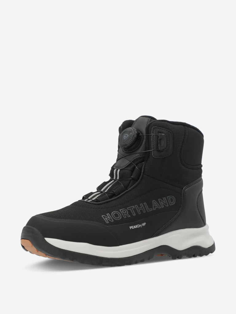 Ботинки утепленные для мальчиков Northland Moose High Boa