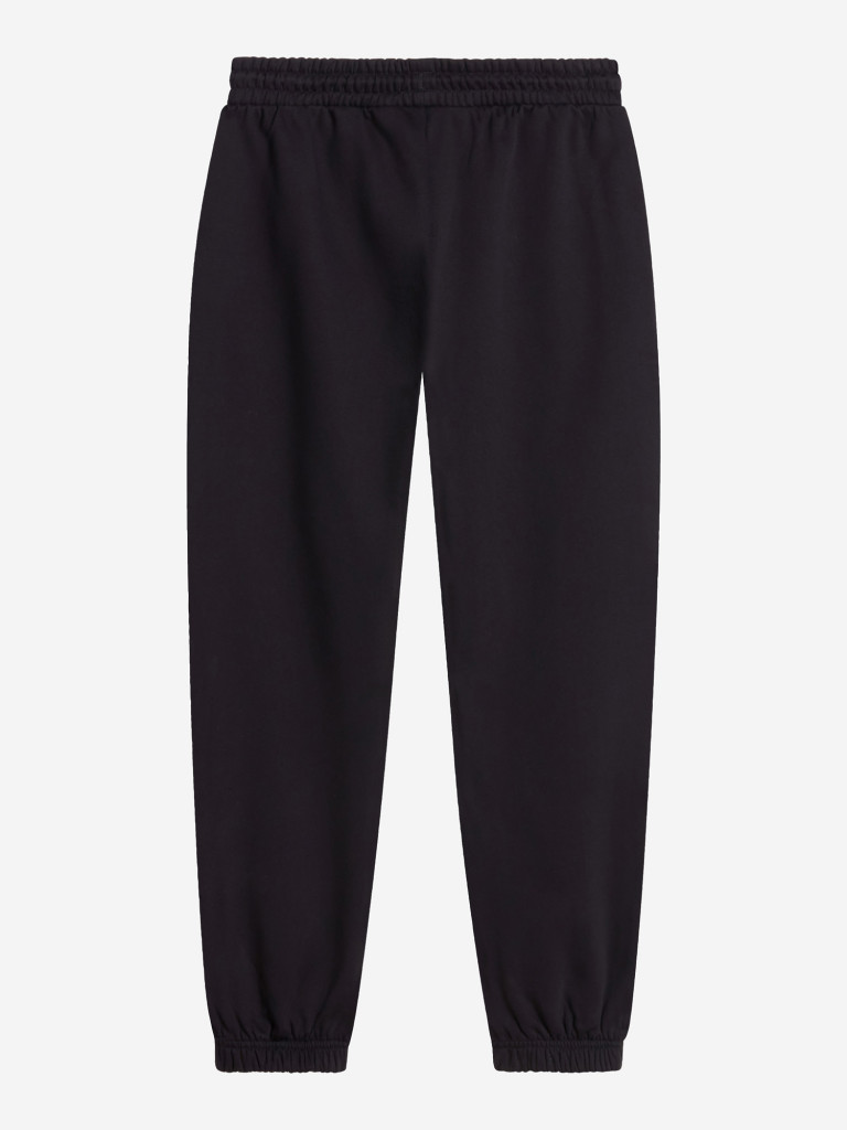 Брюки мужские The North Face Essential Simple