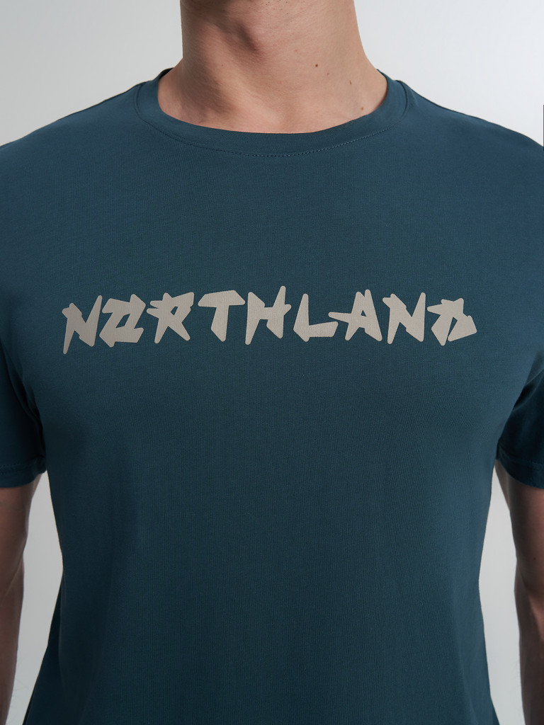 Футболка мужская Northland