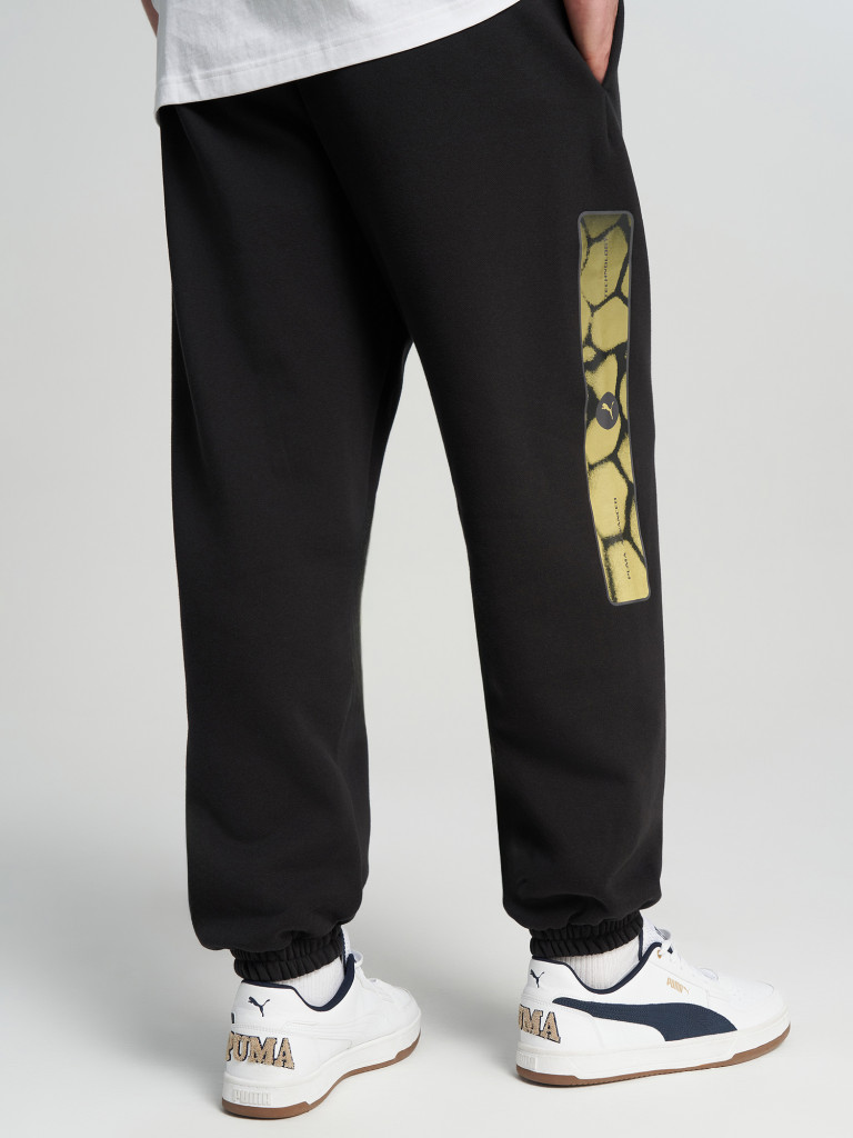 Брюки мужские PUMA Sport Street