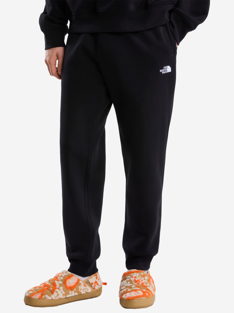 Брюки мужские The North Face Evolution Simple