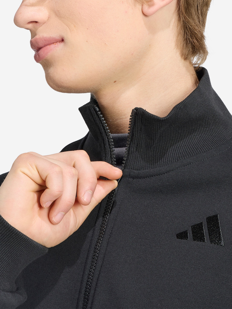 Олимпийка мужская adidas