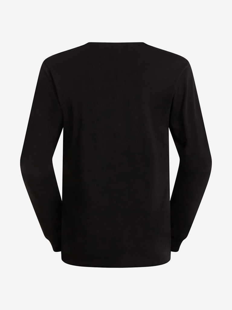 Лонгслив мужской The North Face Evolution Simple