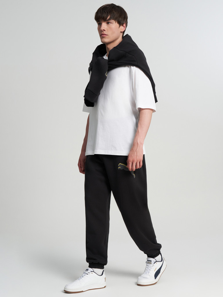 Брюки мужские PUMA Sport Street