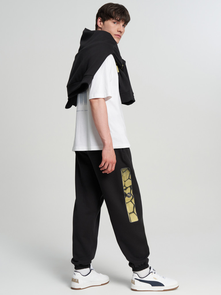 Брюки мужские PUMA Sport Street