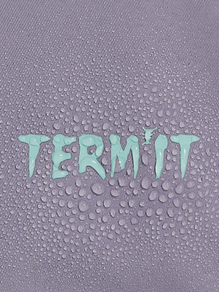 Брюки сноубордические женские Termit