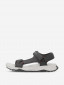серый