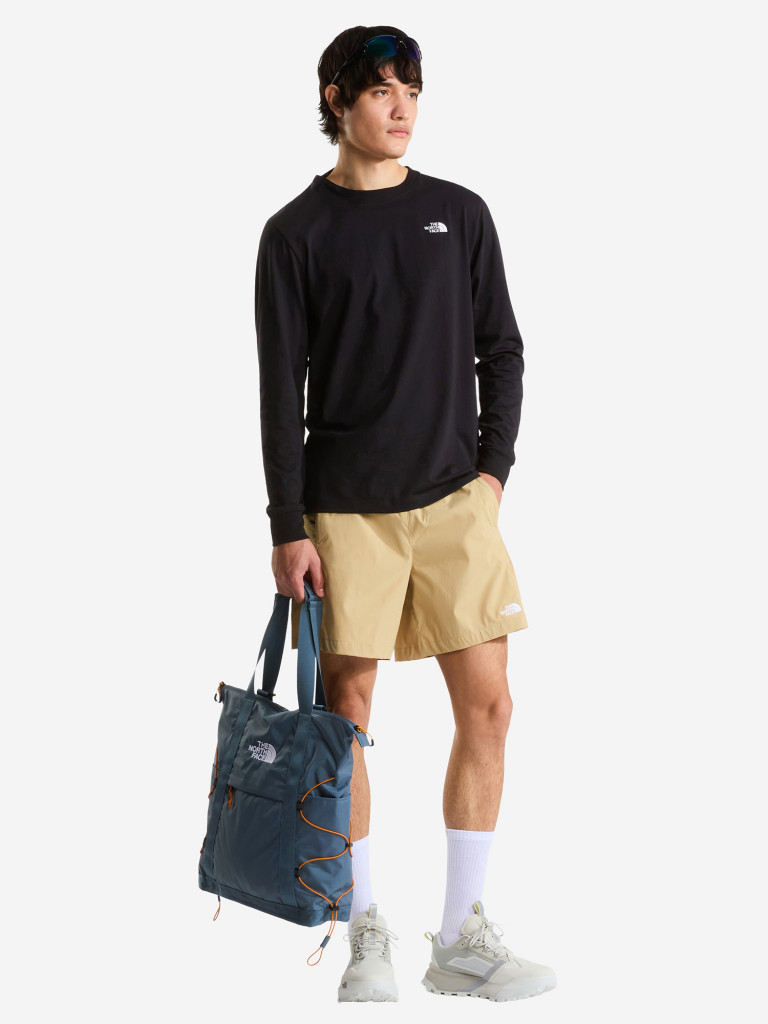 Лонгслив мужской The North Face Evolution Simple