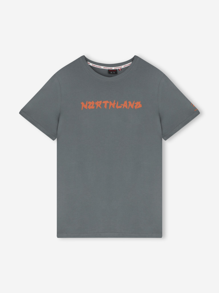 Футболка мужская Northland