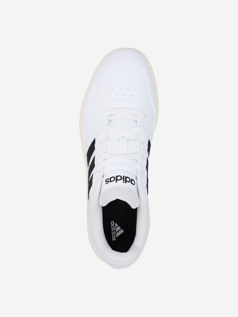 Кеды мужские adidas Hoops 3.0