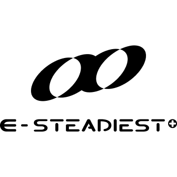 E-STEADIEST