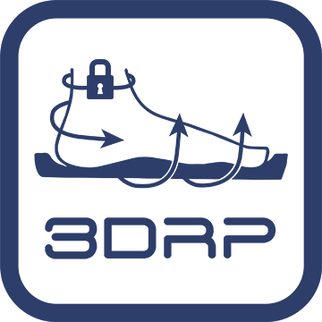 3DRP